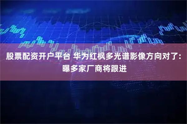 股票配资开户平台 华为红枫多光谱影像方向对了: 曝多家厂商将跟进